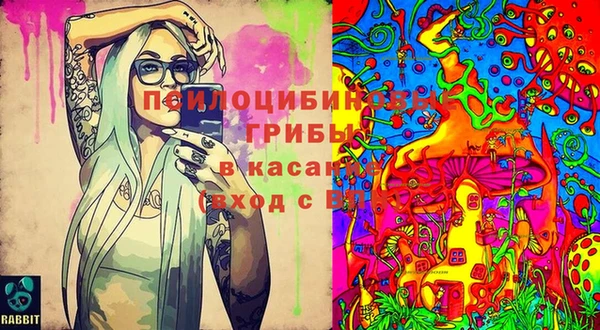 СК Белокуриха