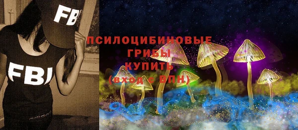 СК Белокуриха